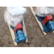 2CY small gear pump Lubricating oil pump vegetable oil gear pump